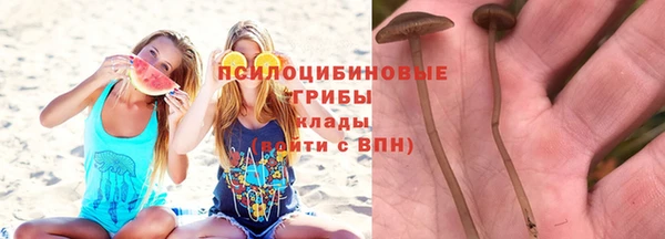 трава Верхнеуральск