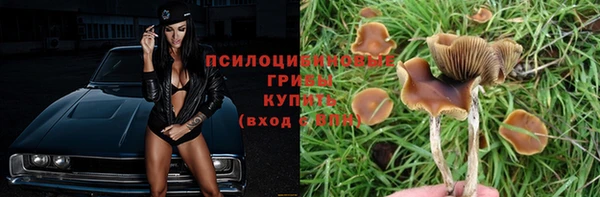 каннабис Новокубанск