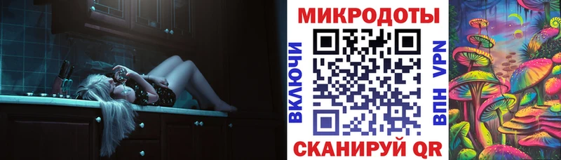 купить наркотик Калач-на-Дону Галлюциногенные грибы Psilocybe